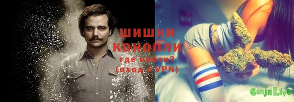 амф Алексин